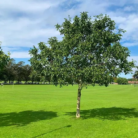 The Knavesmire - Quaint Victorian - Free Parking - Pet Friendly *